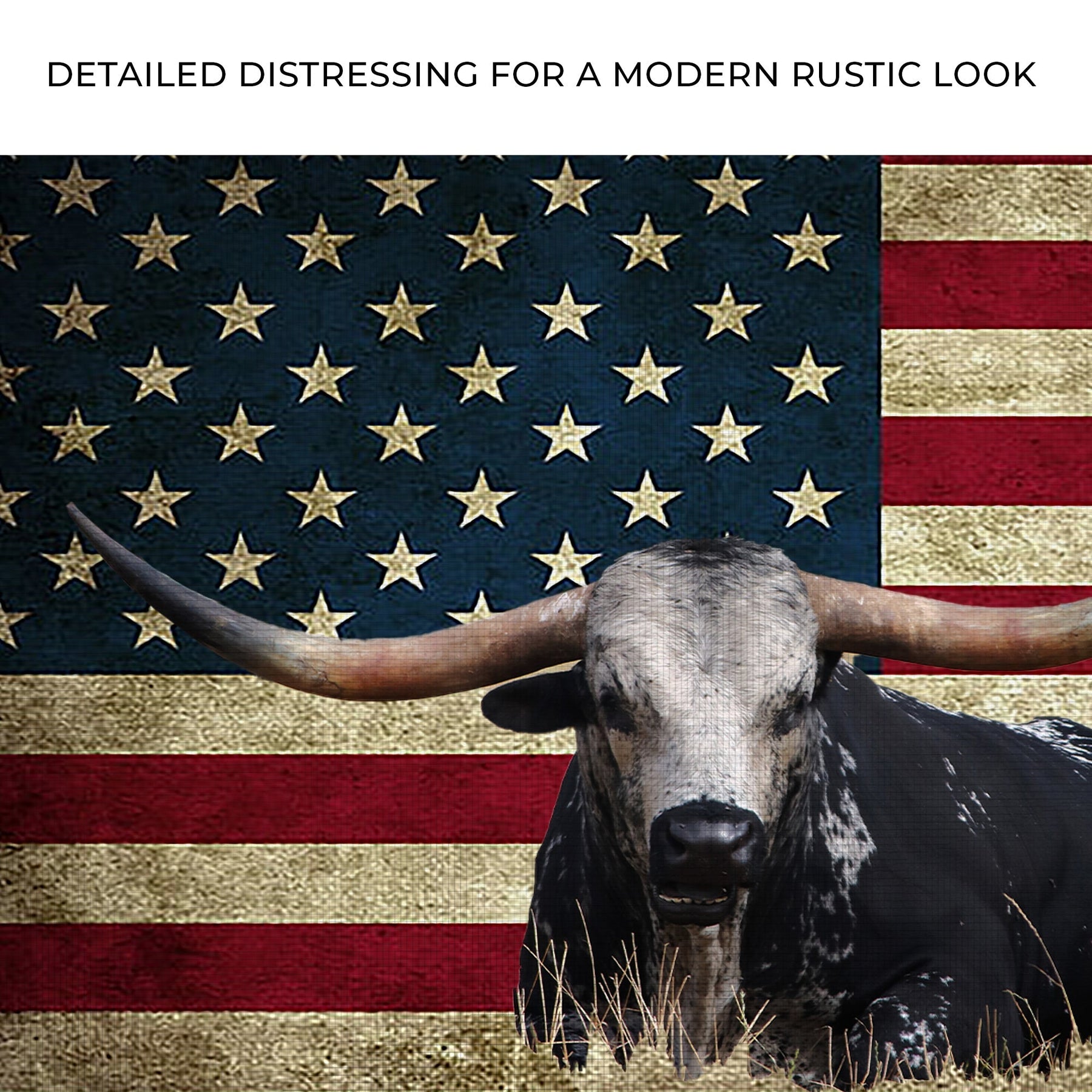 Longhorn American Flag Canvas Wall Art